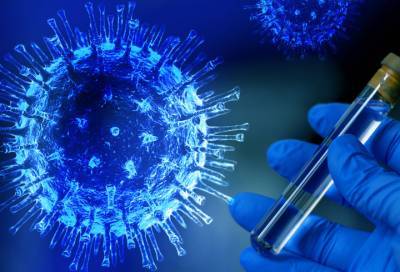 Георгий Базыкин - Биолог рассказал от чего зависит количество мутаций коронавируса - online47.ru - Дания
