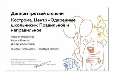 На всероссийской олимпиаде по программированию костромские школьники получили диплом третьей степени - kostroma.mk.ru - Россия