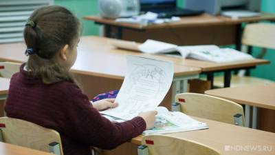 В Кургане из-за холодов частично отменили занятия в школах - newdaynews.ru - Курган