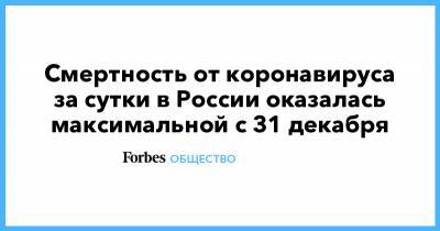 Смертность от коронавируса за сутки в России оказалась максимальной с 31 декабря - forbes.ru - Россия - Санкт-Петербург - Москва