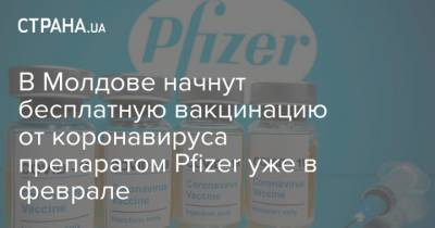 Татьяна Затык - В Молдове начнут бесплатную вакцинацию от коронавируса препаратом Pfizer уже в феврале - strana.ua - Молдавия