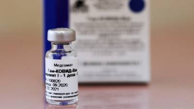 Владимир Путин - Путин назвал лучшей в мире российскую вакцину от коронавируса - russian.rt.com - Россия