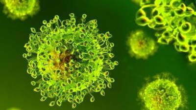ВОЗ предупреждает о грядущем появлении новых штаммов коронавируса - 5-tv.ru - Япония