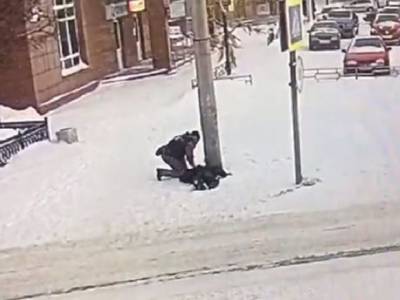 «У меня бабушка так упала, так у нее еще и сумку украли»: в соцсетях обсуждают видео, где водитель спас человека, лежавшего в снегу - rosbalt.ru - Мончегорск