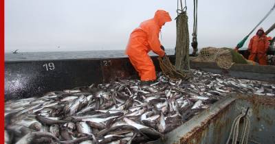 Почему КНР прекратила принимать российскую рыбу и сою - profile.ru - Россия - Китай - Ухань