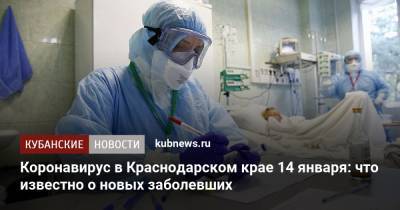 Коронавирус в Краснодарском крае 14 января: что известно о новых заболевших - kubnews.ru - Краснодарский край - Краснодар - Геленджик