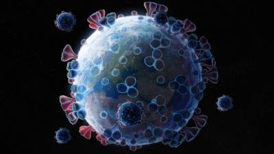 В США обнаружены два новых штамма коронавируса - 5-tv.ru - Сша - штат Огайо - Колумбус