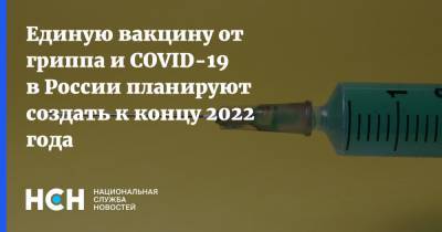 Александр Гинцбург - Единую вакцину от гриппа и COVID-19 в России планируют создать к концу 2022 года - nsn.fm - Россия