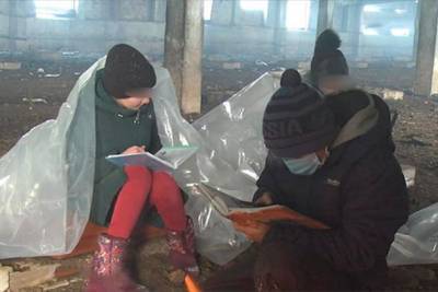 В Башкирии школьникам, которые ходили «учиться» в коровник, провели интернет - bash.news - республика Башкирия - район Куюргазинский