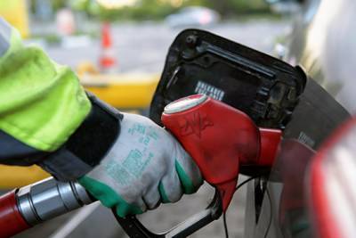 Александр Новак - Россиянам пообещали рост цен на бензин в пределах инфляции - lenta.ru