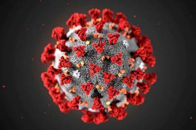 Учёные: Иммунная система человека побеждает COVID-19 за несколько дней - actualnews.org - Китай - Ухань - Австралия - Мельбурн