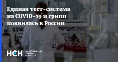 Единая тест-система на COVID-19 и грипп появилась в России - nsn.fm - Россия