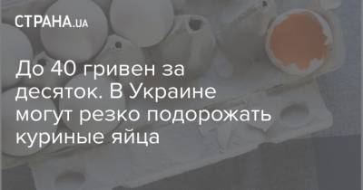 До 40 гривен за десяток. В Украине могут резко подорожать куриные яйца - strana.ua - Украина