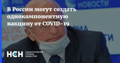 Александр Гинцбург - В России могут создать однокомпонентную вакцину от COVID-19 - nsn.fm - Россия
