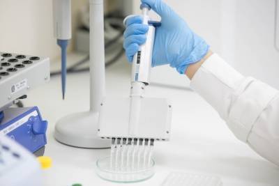 Жителей Свердловской области начали тестировать на свиной грипп - znak.com - Свердловская обл.