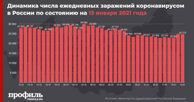 В России за сутки выявили 24715 новых случаев COVID-19 - profile.ru - Россия