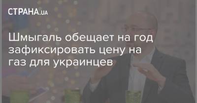 Денис Шмыгаль - Шмыгаль обещает на год зафиксировать цену на газ для украинцев - strana.ua