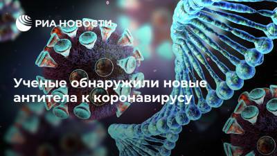 Ученые обнаружили новые антитела к коронавирусу - ria.ru - Москва