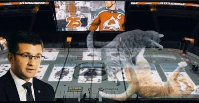 В США диктор хоккейной арены в перерыве матча НХЛ разложил на льду «Косынку» - argumenti.ru - Сша - штат Колорадо