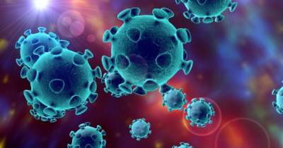 В Китае заявили, что нашли коронавирус в сыворотке из Украины - focus.ua - Украина - Китай