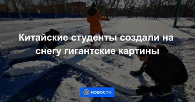 Екатерина Гура - Китайские студенты создали на снегу гигантские картины - news.mail.ru - Китай - Далянь - провинция Ляонин