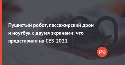 Пушистый робот, пассажирский дрон и ноутбук с двумя экранами: что представили на CES-2021 - thepage.ua