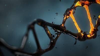 Ученые создали ДНК-тест, который выявляет вторичные пневмонии при COVID-19 - newinform.com