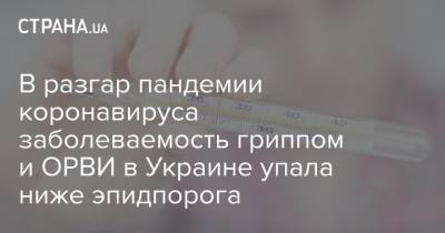 В разгар пандемии коронавируса заболеваемость гриппом и ОРВИ в Украине упала ниже эпидпорога - strana.ua - Украина