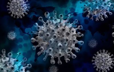 Андрей Каприн - В России начали изучать влияние коронавируса на вероятность развития и возникновения рака - actualnews.org - Россия