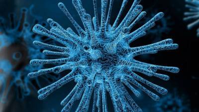 Александр Бутенко - Вирусолог центра Гамалеи оценил опасность мутаций коронавируса - nation-news.ru - Китай