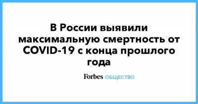 В России выявили максимальную смертность от COVID-19 с конца прошлого года - forbes.ru - Россия