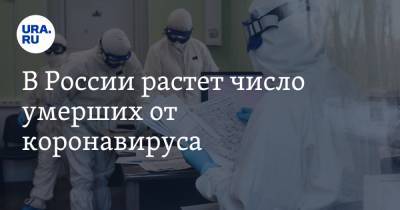 В России растет число умерших от коронавируса - ura.news - Россия