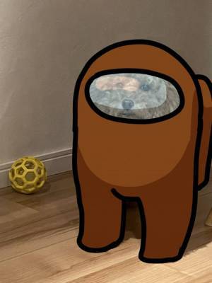 В Японии обнаружена квадратная собака, которая стала мемом о героях популярной игры Among Us - goodnews.ua - Япония