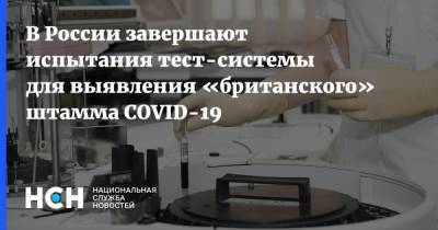 В России завершают испытания тест-системы для выявления «британского» штамма COVID-19 - nsn.fm - Россия