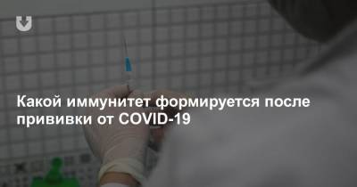 Какой иммунитет формируется после прививки от COVID-19 - news.tut.by