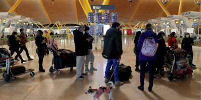 Susana Vera - Группа украинцев застряла в аэропорту Мадрида из-за карантина - nv.ua - Украина - Испания - Киев - Мадрид - Барахас