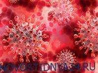 Пандемия коронавируса вызвала расцвет устойчивой формы гонореи - novostidnya24.ru