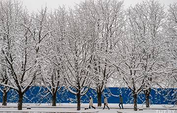 Люди на морозе: Как те, кто должен работать в любую погоду, переживают сильные холода - charter97.org - Минск