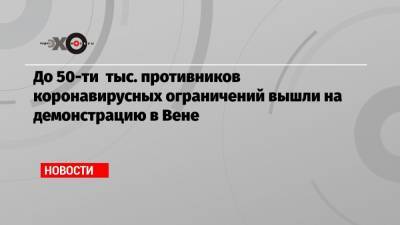 До 50-ти тыс. противников коронавирусных ограничений вышли на демонстрацию в Вене - echo.msk.ru - Вена - Австрия