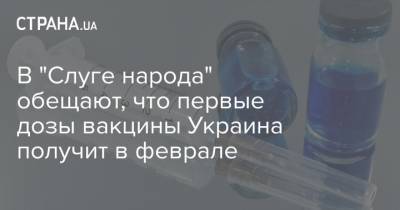 Евгения Кравчук - В "Слуге народа" обещают, что первые дозы вакцины Украина получит в феврале - strana.ua - Украина - Сша