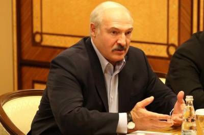 Александр Лукашенко - Лукашенко: протесты в Белоруссии затянулись из-за закрытых границ - aif.ru - Россия - Белоруссия