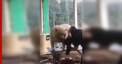 Собака прославилась после стрижки "в стиле" полярного медведя: видео - profile.ru