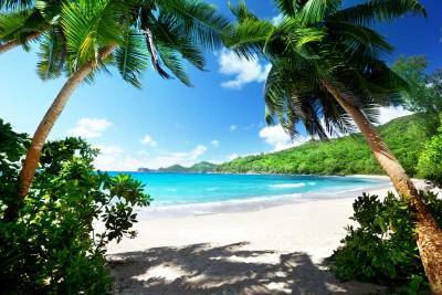 Сейшельские острова будут открыты для туристов, получивших вакцину от COVID-19 - cursorinfo.co.il - Сейшелы