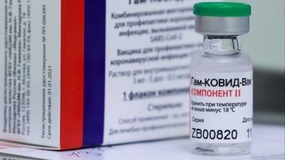 Россия - В Бразилии отклонили запрос об экстренном использовании вакцины «Спутник V» - 5-tv.ru - Бразилия