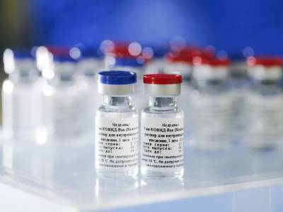 Россия - "Из-за несоответствия минимальным критериям". Бразилия отказалась регистрировать российскую вакцину "Спутник V" - gordonua.com - Бразилия