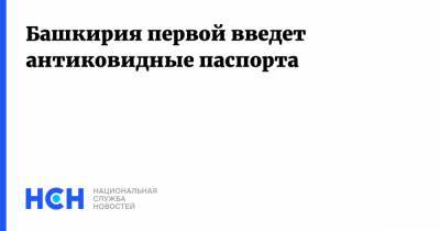 Радий Хабиров - Башкирия первой введет антиковидные паспорта - nsn.fm - республика Башкирия