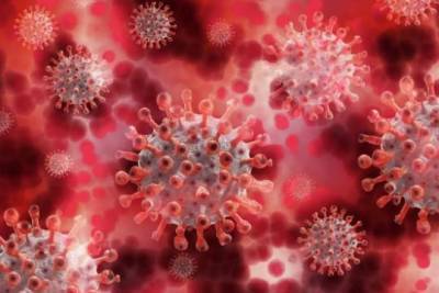 Рошель Валенски - США предсказали полмиллиона смертей от коронавируса к середине февраля - versia.ru - Сша