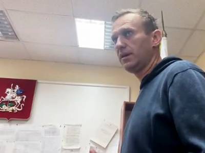 Алексей Навальный - МВД озвучило новую версию причин выездного суда для Навального - rosbalt.ru - Германия - Московская обл.