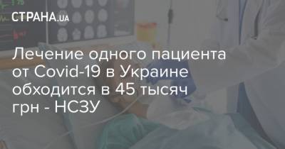 Лечение одного пациента от Covid-19 в Украине обходится в 45 тысяч грн - НСЗУ - strana.ua - Украина