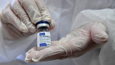 Россия - Алжир готовится к масштабной вакцинации российским препаратом «Спутник V» - 5-tv.ru - Белоруссия - Алжир - Алжирская Народная Демократическая Республика
